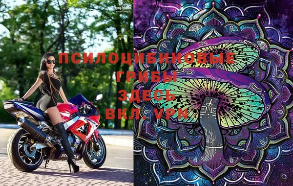 не бодяженный Богородицк