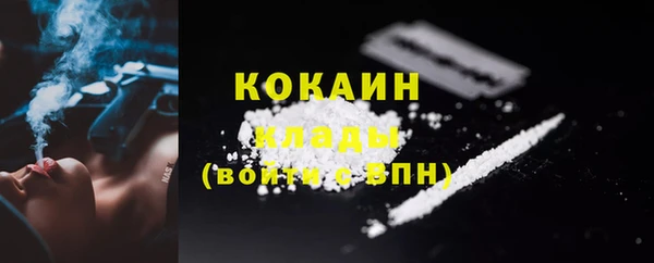 гидра Богородск