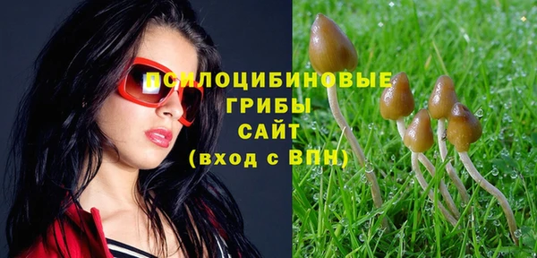 МДМА Бородино