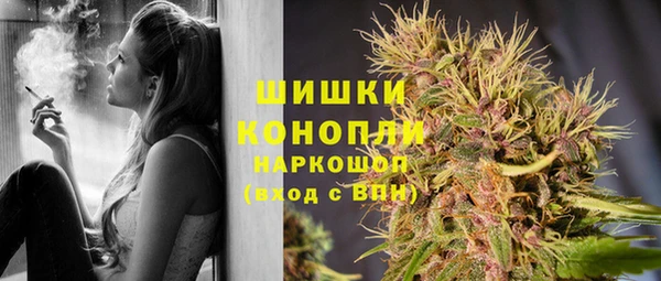 гидра Богородск