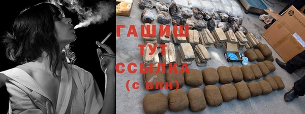гидра Богородск