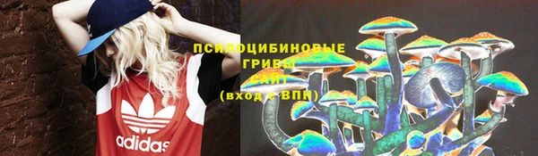 прущая мука Богданович