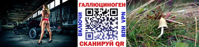 купить наркотики цена  Старица  Галлюциногенные грибы мицелий 